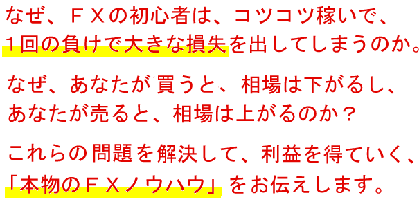たった動画解説１８０分の本物のＦＸ講座